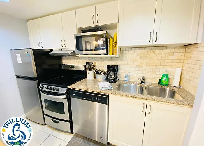 Slopeside Blue Mountain Condo - Wifi, Linens/Towels, Ski In/Out